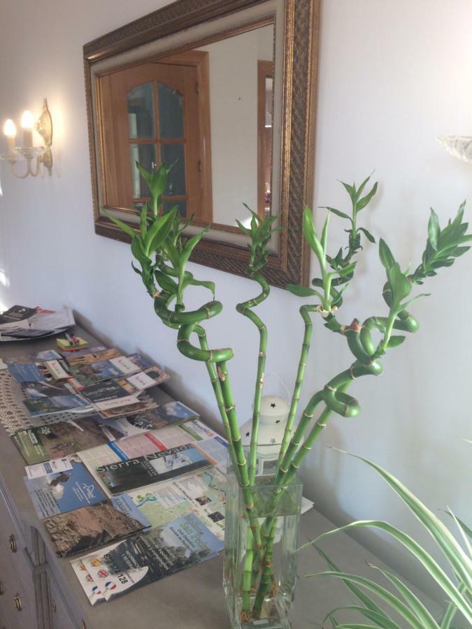格拉纳达Bonita Casa En Barrio De Monachil公寓 外观 照片